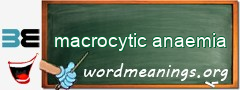 WordMeaning blackboard for macrocytic anaemia